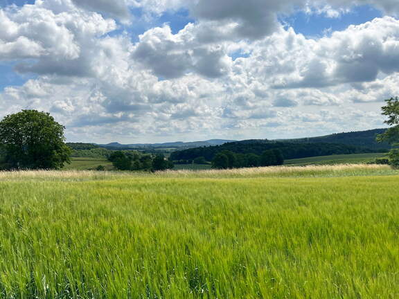 22-06-06 11-20-38 1053